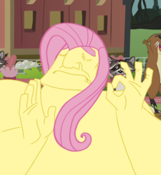 Size: 557x605 | Tagged: safe, fluttershy, g4, meme, pacha, the emperor's new groove, when x just right