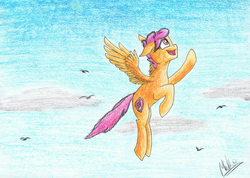 Size: 3081x2191 | Tagged: safe, artist:hovel, scootaloo, bird, pegasus, pony, g4, cloud, cutie mark, female, flying, high res, scootaloo can fly, solo, the cmc's cutie marks, traditional art