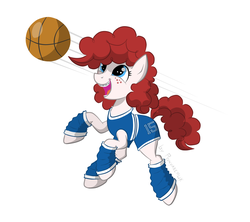 Size: 1777x1580 | Tagged: safe, artist:ponyarchuk, oc, oc only, earth pony, pony, ball, basketball, braces, palindrome get, solo