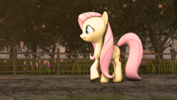 Size: 3000x1687 | Tagged: safe, artist:navadude, fluttershy, owl, g4, 3d, female, fence, pathway, solo, source filmmaker