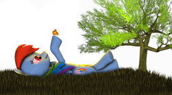 Size: 2748x1512 | Tagged: safe, artist:turbovilka, rainbow dash, butterfly, g4, 3d, on back, source filmmaker, tree