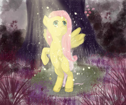 Size: 1280x1067 | Tagged: safe, artist:pandred, fluttershy, g4, clearing, female, forest, looking at something, looking up, rearing, solo, wondering