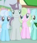 Size: 128x146 | Tagged: safe, screencap, daisy, dizzy twister, flower wishes, linky, lyra heartstrings, orange swirl, shoeshine, written script, earth pony, pony, unicorn, g4, one bad apple, looking at each other, picture for breezies, ponies standing next to each other