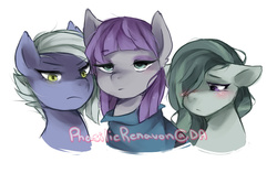 Size: 1024x645 | Tagged: safe, artist:phasilicrenavon, limestone pie, marble pie, maud pie, g4, blushing, pie sisters