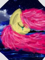 Size: 600x800 | Tagged: safe, artist:derpyliciousmiku, fluttershy, g4, crying, eyes closed, female, night sky, portrait, solo, windswept mane