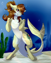 Size: 2600x3200 | Tagged: safe, artist:pinktabico, oc, oc only, oc:katya ironstead, fish, original species, shark, shark pony, bubble, crepuscular rays, dorsal fin, fangs, female, fin, fins, fish tail, flowing mane, flowing tail, gills, high res, looking at you, mare, ocean, seaweed, sharkified, signature, smiling, smiling at you, solo, species swap, standing, sunlight, swimming, tail, underwater