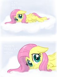 Size: 625x850 | Tagged: safe, artist:ta-na, fluttershy, pegasus, pony, g4, cloud, dialogue, female, floppy ears, frown, korean, looking at you, mare, on side, reaction image, solo, translated in the comments