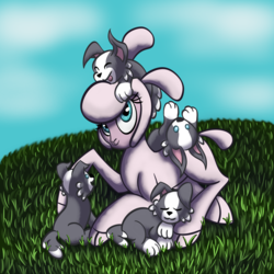 Size: 2000x2000 | Tagged: safe, artist:geminishadows, pom (tfh), dog, lamb, sheep, them's fightin' herds, community related, high res, puppy, sheep dog