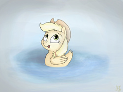 Size: 1024x768 | Tagged: safe, artist:lolopolko, applejack, duck, g4, appleduck, female, solo, species swap, water