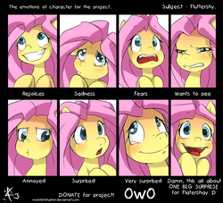 Size: 2214x2012 | Tagged: safe, artist:myfetishsituation, fluttershy, chart, cute, expressions, facial expressions, female, shyabetes, solo