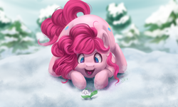 Size: 1889x1142 | Tagged: safe, artist:amishy, pinkie pie, earth pony, pony, g4, behaving like a cat, both cutie marks, cute, diapinkes, face down ass up, featured image, female, flower, happy, mare, open mouth, prone, smiling, snow, snowdrop (flower), solo, winter