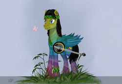 Size: 2581x1761 | Tagged: dead source, safe, artist:dezdark, oc, oc only, butterfly, pegasus, pony, banjo, hippie, musical instrument, ponified, signature, solo