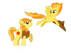 Size: 1024x768 | Tagged: safe, artist:indigovation, braeburn, spitfire, earth pony, pegasus, pony, g4, accessory theft, crack shipping, female, male, shipping, simple background, spitburn, straight, transparent background, vector