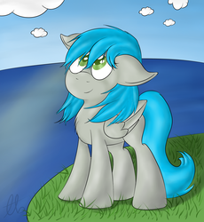 Size: 1865x2024 | Tagged: safe, artist:laptopbrony, oc, oc only, oc:darcy sinclair, cliff, cute, looking up, ocean, solo