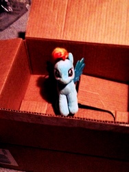 Size: 2448x3264 | Tagged: safe, rainbow dash, fanfic:my little dashie, g4, defictionalization, high res, irl, photo, plushie, ty