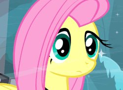 Size: 660x483 | Tagged: safe, screencap, fluttershy, private pansy, pony, g4, hearth's warming eve (episode), season 2, animated, cute, daaaaaaaaaaaw, female, hnnng, shyabetes, solo