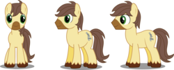 Size: 2366x956 | Tagged: safe, artist:sketchmcreations, oc, oc only, oc:calpain, equestria daily, calpain, inkscape, reference sheet, simple background, transparent background, unshorn fetlocks, vector