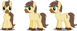 Size: 2366x956 | Tagged: safe, artist:sketchmcreations, oc, oc only, oc:caspasin42, equestria daily, calpain, inkscape, reference sheet, simple background, transparent background, unshorn fetlocks, vector