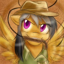 Size: 500x500 | Tagged: safe, artist:ask-daringdo, daring do, pegasus, pony, g4, female, mare, mouth hold, portrait, solo, whip