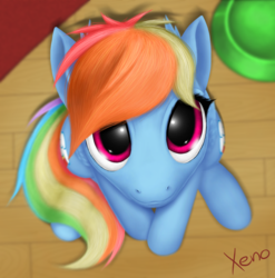 Size: 1024x1038 | Tagged: safe, artist:the1xeno1, rainbow dash, pony, g4, cute, dashabetes, female, looking at you, solo