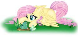 Size: 4000x2000 | Tagged: safe, artist:pvrii, fluttershy, frog, g4, ear fluff, female, grass, lying, simple background, solo, spread wings, transparent background