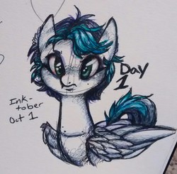 Size: 1433x1403 | Tagged: safe, artist:hippykat13, artist:sabokat, oc, oc only, oc:kitty sweet, cute, freckles, scar, short mane, solo, traditional art, wings