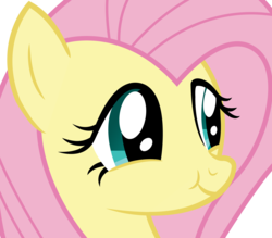 Size: 2580x2262 | Tagged: artist needed, safe, fluttershy, g4, viva las pegasus, cute, female, high res, scrunchy face, shyabetes, simple background, solo, transparent background, vector