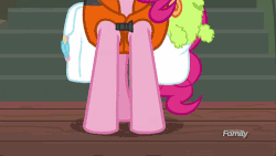 Size: 500x281 | Tagged: safe, screencap, pinkie pie, earth pony, pony, g4, ppov, season 6, animated, derp, discovery family logo, female, gif, lifejacket, luggage, mare, pinkie derp, shrunken pupils, solo, stick, thousand yard stare