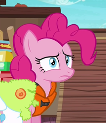 Size: 389x452 | Tagged: safe, screencap, pinkie pie, earth pony, pony, g4, ppov, disgusted, female, mare, solo