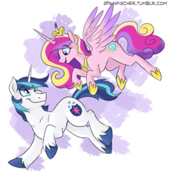 Size: 978x1000 | Tagged: safe, artist:spainfischer, princess cadance, shining armor, alicorn, pony, unicorn, g4, concave belly, duo, female, flying, husband, husband and wife, looking at each other, male, mare, married couple, running, ship:shiningcadance, shipping, simple background, slender, smiling, stallion, straight, thin, transparent background, wife