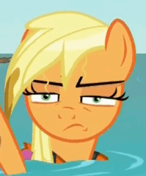 Size: 301x362 | Tagged: safe, screencap, applejack, earth pony, pony, g4, ppov, applejack is not amused, female, gif, mare, non-animated gif, reaction image, solo, unamused, wet mane