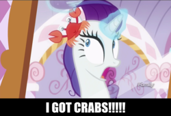 Size: 1280x870 | Tagged: safe, edit, edited screencap, screencap, rarity, skuttles the crab, crab, giant crab, pony, unicorn, g4, ppov, bad pun, caption, crab fighting a giant rarity, discovery family logo, female, image macro, impact font, mare, meme, pun, rarity fighting a giant crab, role reversal, solo, text