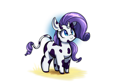 Size: 1500x1000 | Tagged: safe, artist:bellspurgebells, rarity, cow, g4, cute, female, questionable source, raricow, solo, species swap
