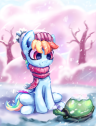 Size: 3793x4939 | Tagged: safe, artist:inowiseei, part of a set, rainbow dash, tank, pegasus, pony, tortoise, g4, absurd resolution, beanie, clothes, cute, dashabetes, female, folded wings, hat, mare, scarf, sitting, smiling, snow, snowfall, wings, winter