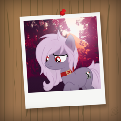 Size: 1500x1500 | Tagged: dead source, safe, artist:nevermattie, oc, oc only, oc:alephpins, oc:apostolllll, earth pony, pony, chocci, forest, polaroid, request, sad, solo, vector