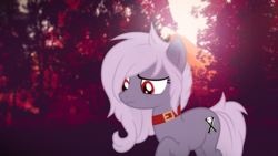 Size: 2560x1440 | Tagged: safe, artist:nevermattie, oc, oc only, oc:chocci, earth pony, pony, collar, cute, digital art, forest, request, sad, solo, vector