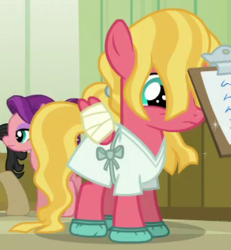 Size: 288x312 | Tagged: safe, screencap, filthy rich, spoiled rich, sunset dawn, earth pony, pegasus, pony, g4, where the apple lies, bandage, clipboard, filly, hospital gown, injured, ship:spoilthy, spoiled milk