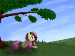 Size: 1600x1200 | Tagged: safe, artist:pony-stark, fluttershy, pegasus, pony, g4, cloud, female, folded wings, grass, looking away, mare, meadow, outdoors, profile, prone, relaxing, sky, smiling, solo, tree, under the tree