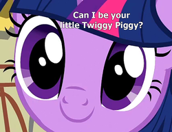 Size: 900x696 | Tagged: safe, edit, edited screencap, screencap, twilight sparkle, alicorn, pony, g4, pinkie pride, c:, cute, female, looking at you, smiling, solo, text, twiabetes, twiggy piggy, twilight sparkle (alicorn)