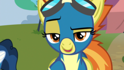 Size: 1920x1080 | Tagged: safe, screencap, spitfire, pony, g4, newbie dash, clothes, lidded eyes, open mouth, raised eyebrow, smug, wonderbolts uniform