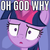 Size: 383x383 | Tagged: safe, edit, edited screencap, screencap, twilight sparkle, alicorn, pony, g4, ppov, caption, female, image macro, meme, reaction image, solo, text, twilight sparkle (alicorn), why