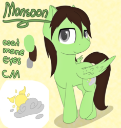 Size: 6272x6653 | Tagged: safe, artist:ampderg, oc, oc only, oc:monsoon, pegasus, pony, absurd resolution, male, reference sheet, solo