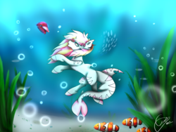 Size: 1024x768 | Tagged: safe, artist:d-emonia, oc, oc only, oc:rainy skies, fish, original species, shark, shark pony, bubble, commission, ocean, plant, swimming, underwater