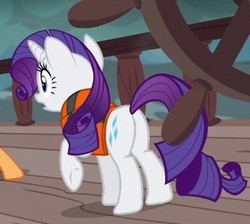 Size: 348x312 | Tagged: safe, screencap, rarity, pony, g4, my little pony: friendship is magic, ppov, butt, cropped, female, mare, plot