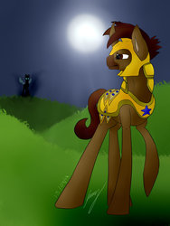 Size: 1024x1365 | Tagged: safe, artist:hurricane-danni, oc, oc:sunwalker, changeling, royal guard