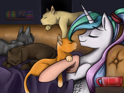 Size: 1869x1399 | Tagged: safe, artist:ognifireheart, princess celestia, cat, g4, alternate hairstyle, blanket, clothes, comfy, couch, eyes closed, female, on back, ponytail, socks, solo