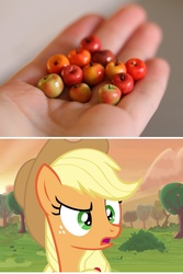 Size: 640x960 | Tagged: safe, applejack, human, g4, apple, bust, crabapple, food, hand, irl, irl human, obligatory apple, open mouth, photo, raised eyebrow, scenery, solo
