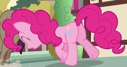 Size: 452x239 | Tagged: safe, screencap, cranky doodle donkey, pinkie pie, donkey, pony, a friend in deed, g4, butt, cropped, female, mare, plot