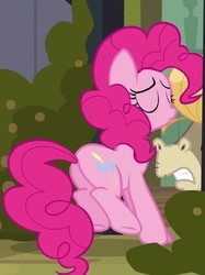 Size: 386x515 | Tagged: safe, screencap, cranky doodle donkey, pinkie pie, donkey, pony, a friend in deed, g4, butt, cropped, female, mare, out of context, plot, solo focus