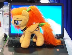 Size: 847x651 | Tagged: safe, artist:raw16, oc, oc only, oc:ray muller, pegasus, pony, 2016, blue eyes, computer, irl, jewelry, laptop computer, notebook, pegasus oc, pendant, photo, plushie, ponytail, rubronycon, rubronycon 2016, wings